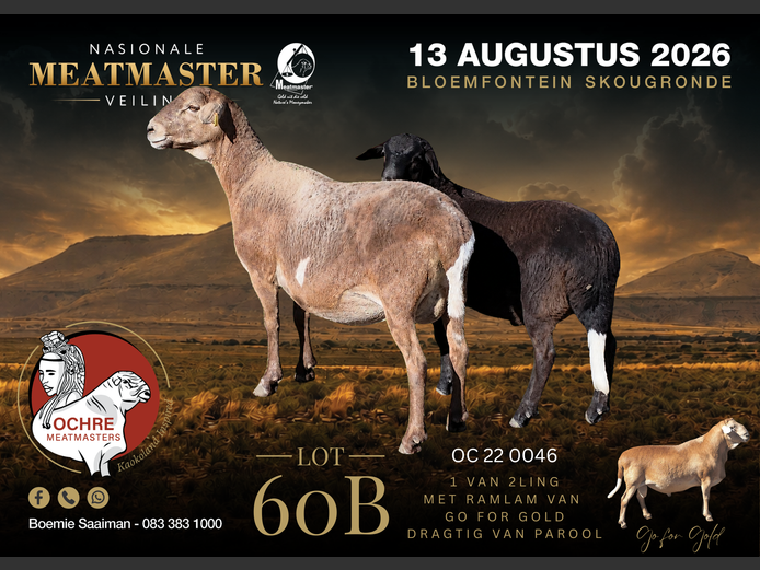 OC 22 0046 | Ochre Meatmasters