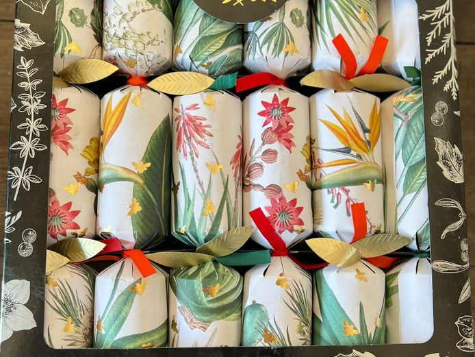 Boutique Handmade Crackers (2 Pack)