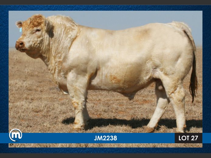 JM 220038
