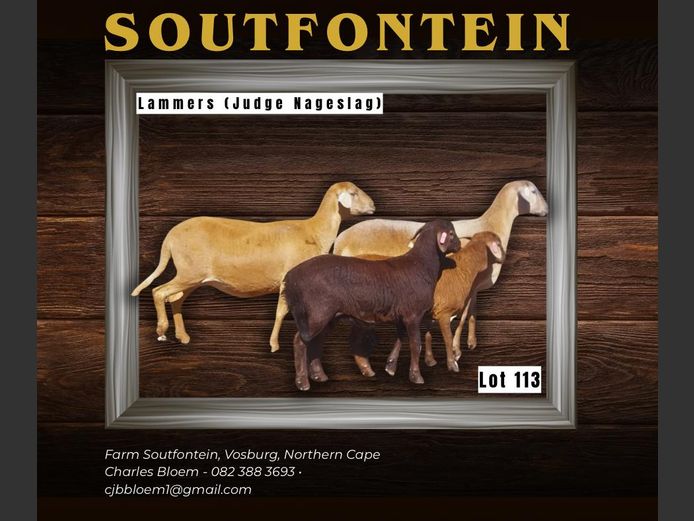 CB 230033 | SOUTFONTEIN MEATMASTERS