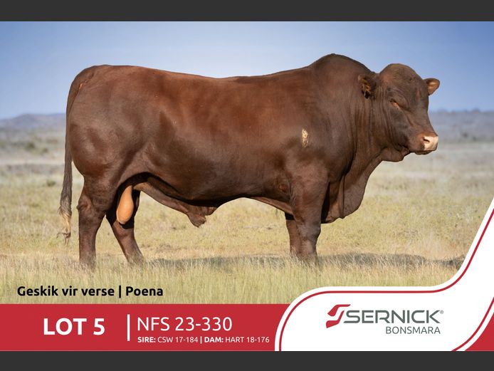 NFS 230330 HH(c) | SERNICK BONSMARA STOET