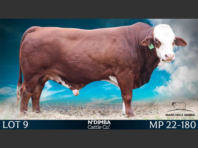 MP22180