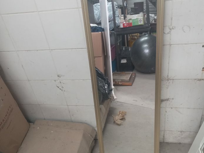 Gold finish door mirror (34cm*109cm)