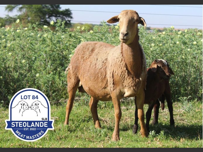 WKM2314 | Steolande Boerdery