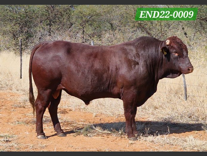 ENDELELA FARMING CC | END 220009
