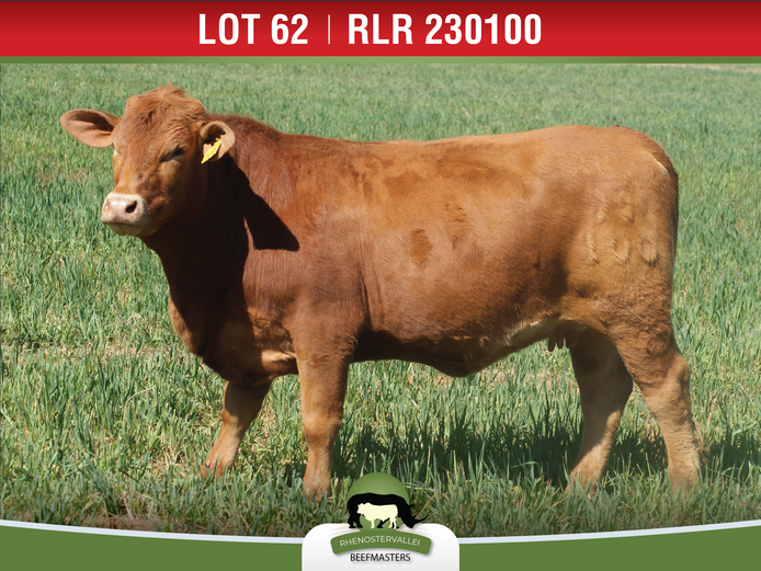 RLR 230100 | J.H. MEYER