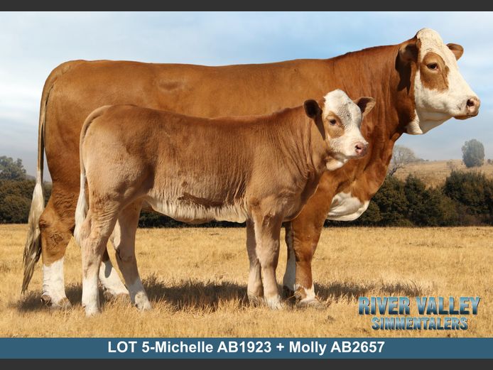 AB1923 | PA ABRAHAMSE