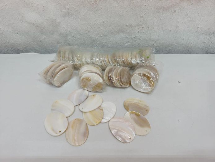 Bulk Lot of Natural Mother of Pearl Oval Shell Pendant Discs