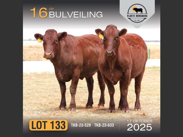 Commercial Animals | TKB BONSMARAS