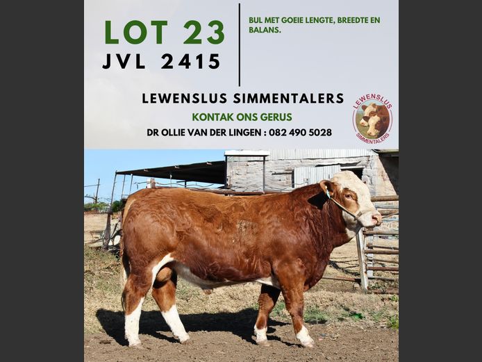 JVL2415 | DR JSH VAN DER LINGEN