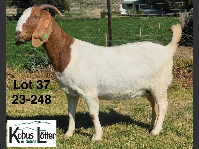 1384230248 | DIRK LOTTER