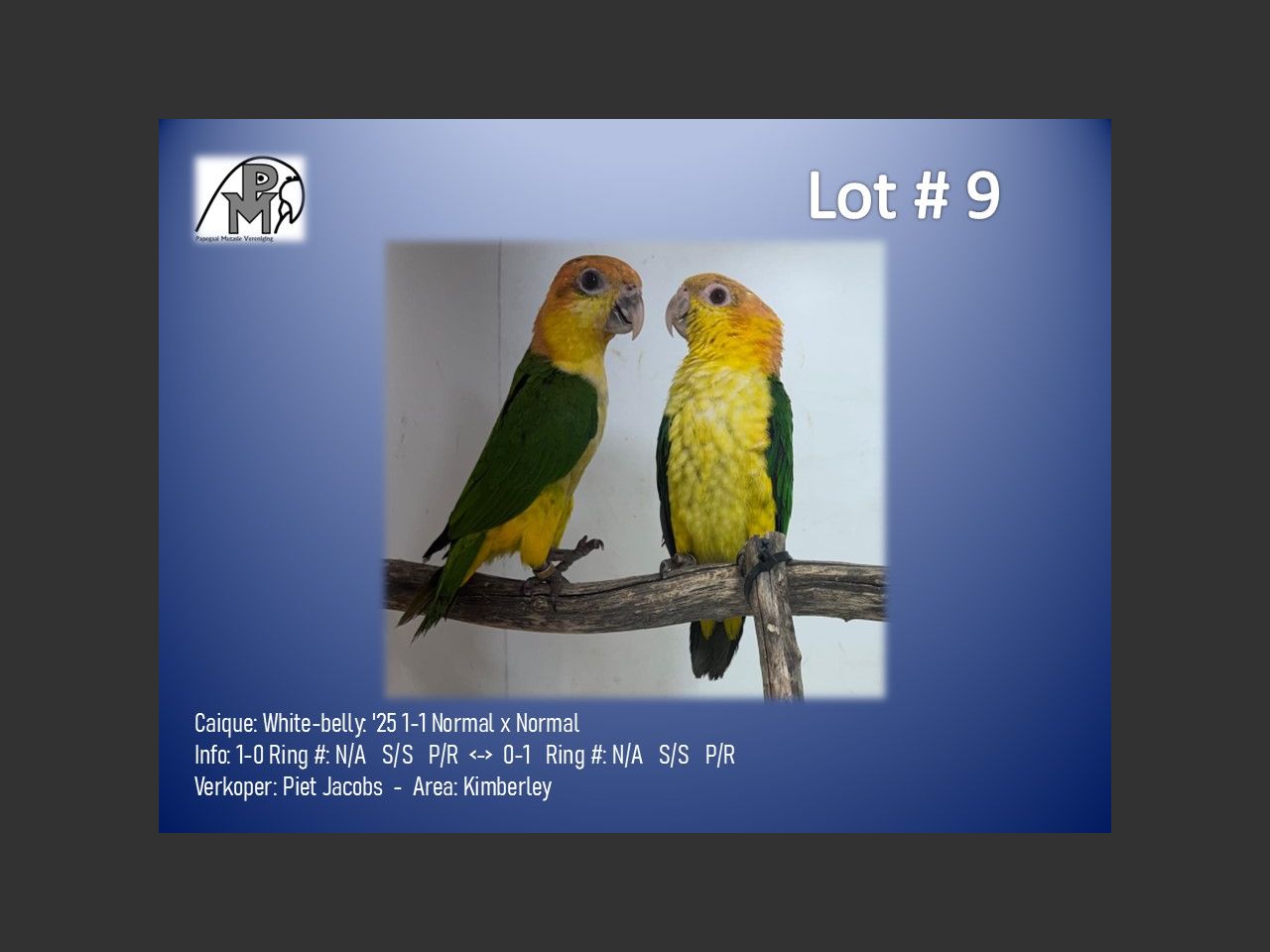images