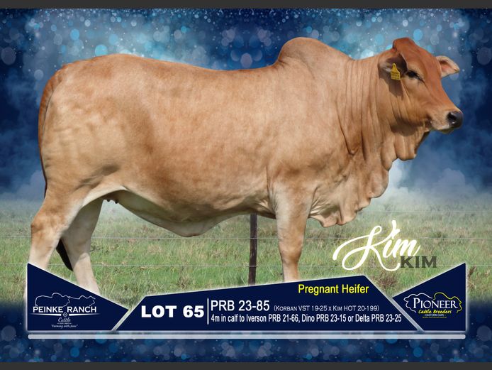 PRB 230085 | PEINKE RANCH