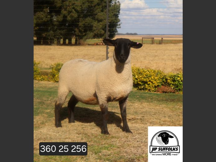 360250256 | J.I. POTGIETER