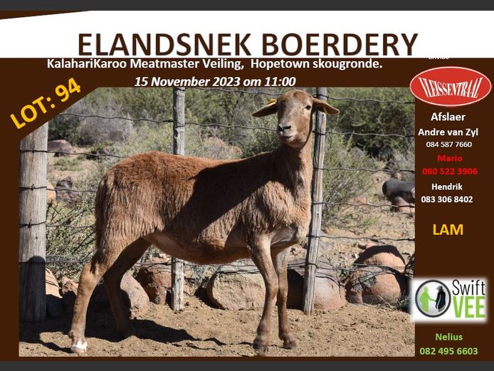 RSL 94 | ELANDSNEK BOERDERY