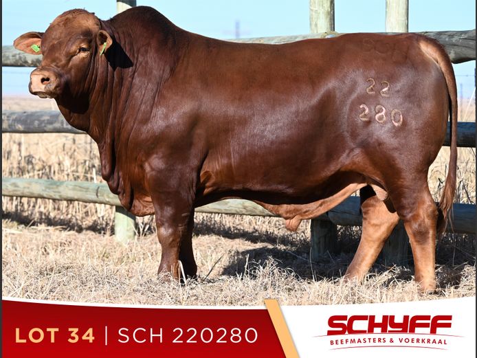 SCH 220280