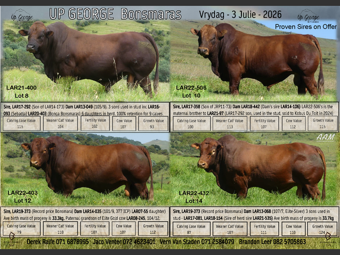 UP GEORGE BONSMARAS 28TH PRODUCTION SALE