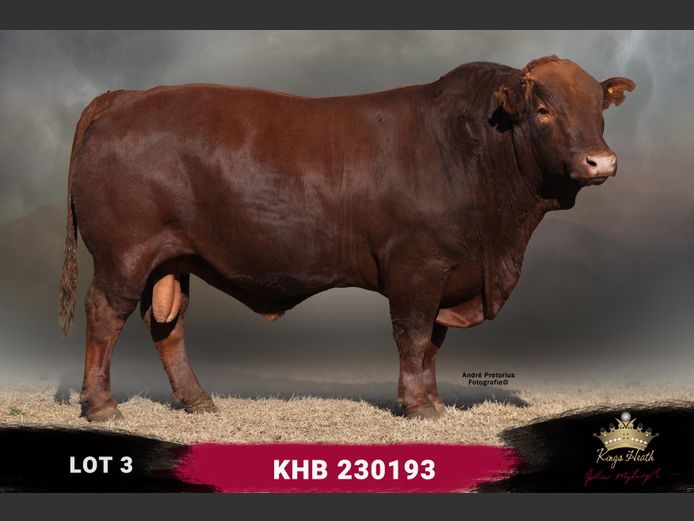 KHB 230193