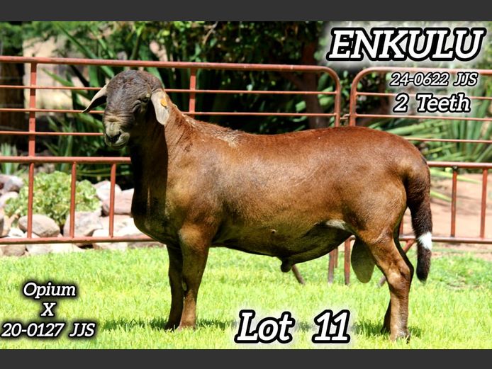 24-0622 JJS | KAMEELHOEK MEATMASTERS