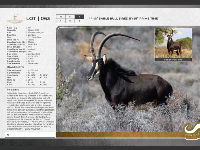 Sable | Groot Sleutelfontein (Pty) Ltd.