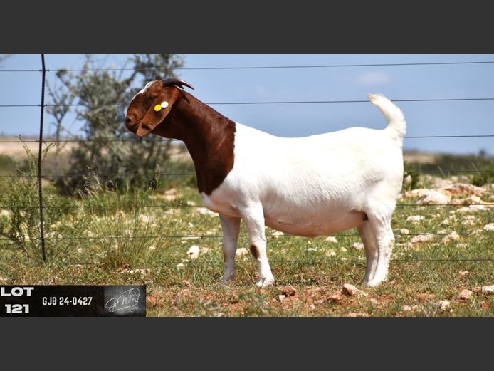 GJB24-0427 | G VAN WYK