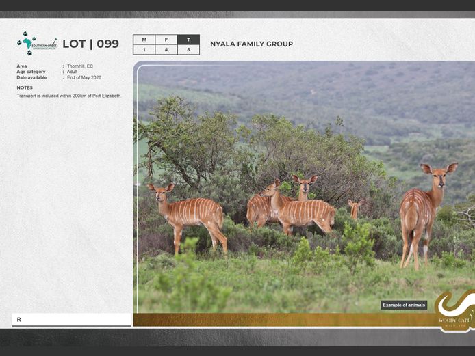Nyala | SC Capture and transport Pty Ltd