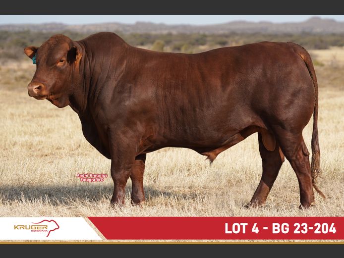 BG230204 | KRUGER BOERDERY