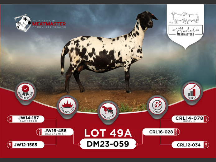 DM 23-0059 | Mario Marais - Model Meatmasters, Britz