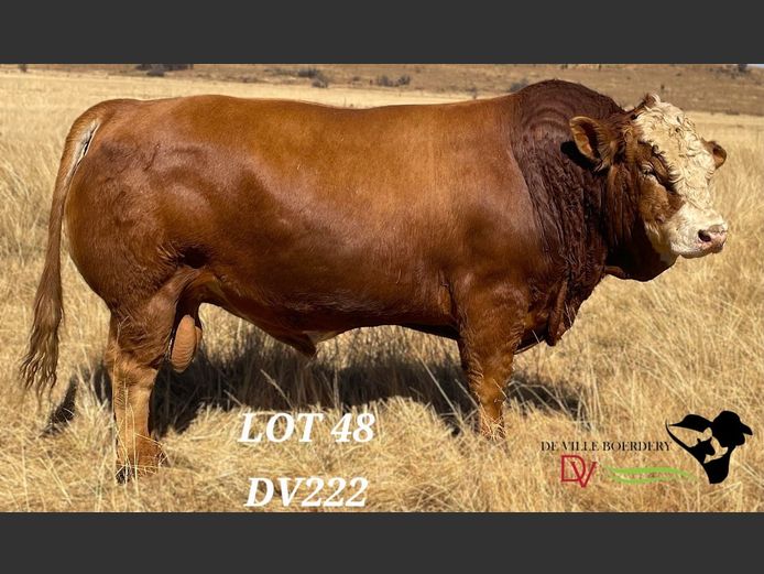 DV222 | DE VILLE BOERDERY (EDMS) BPK