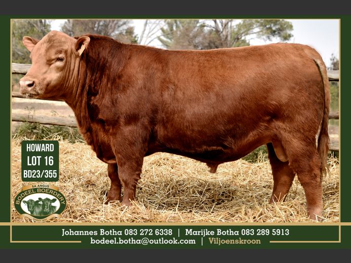 BD 230355 | BODEEL BOERDERY