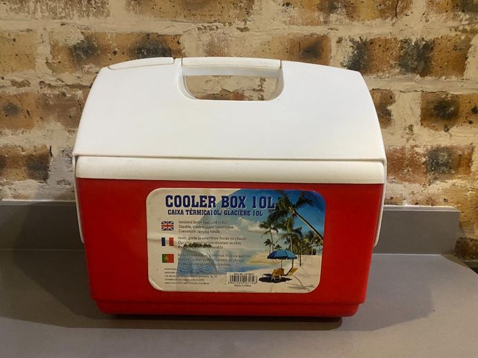 Portable 10L Insulated Cooler Box