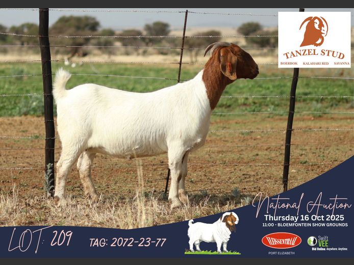 2072-23-77 | Theunis Nel (Tanzel)