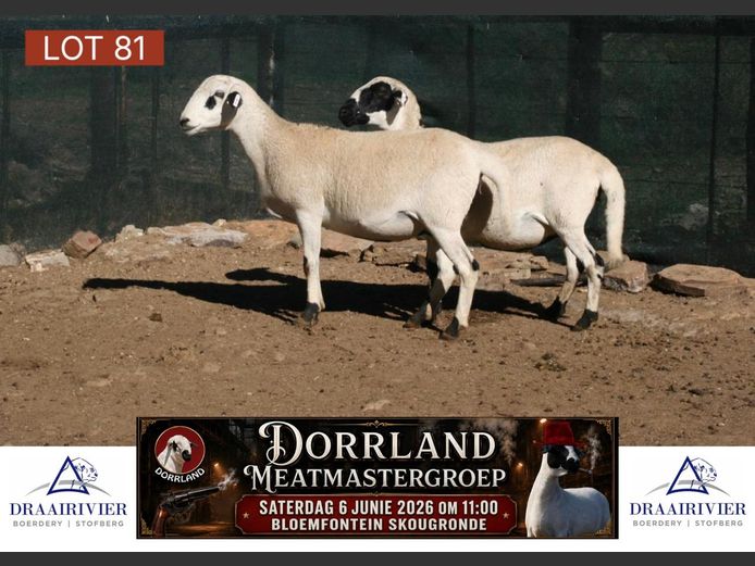 NS24-040 | Draairivier Boerdery