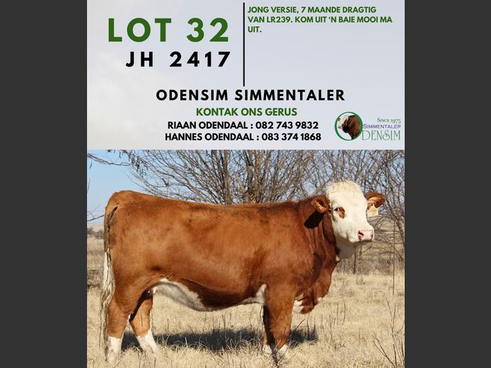 JH2417 | AG ODENDAAL