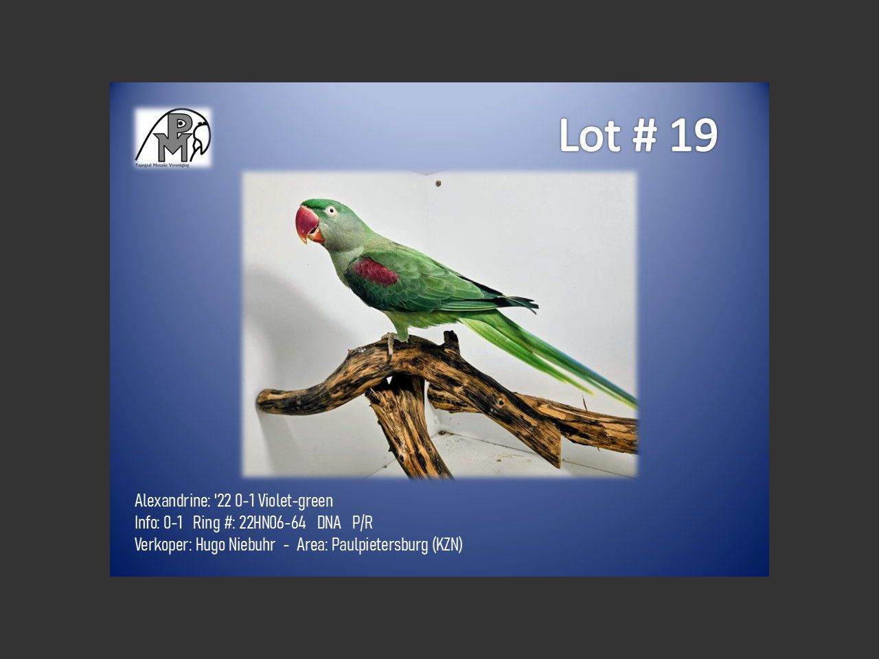 images