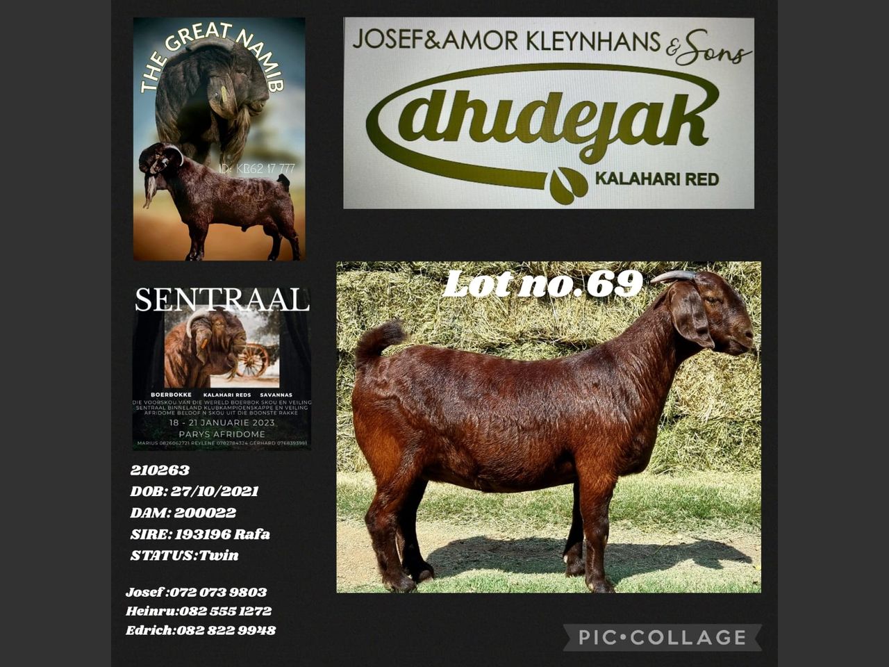images