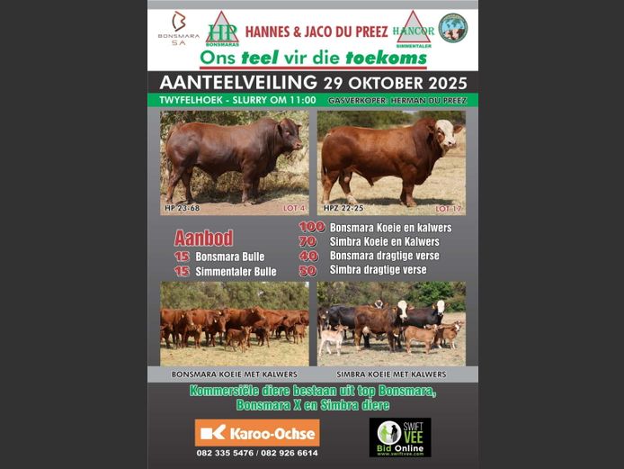 HP BONSMARAS & HANCOR SIMMENTALERS AANTEELVEILING