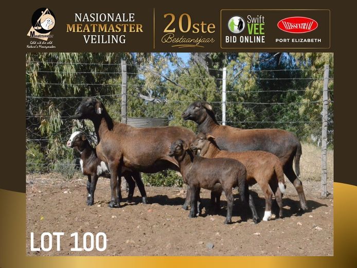 PB 2500 | Pienaarspan Meatmasters