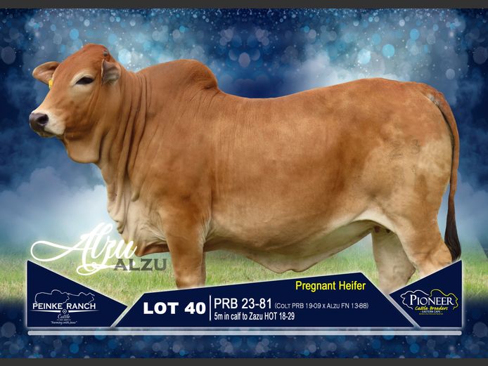 PRB 230081 | PEINKE RANCH