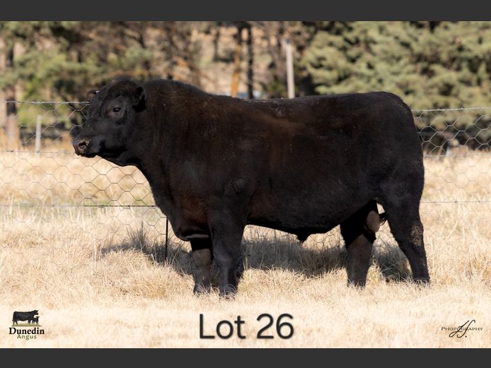 KCM 230040 | TABLE HILL FARMING PTY LTD