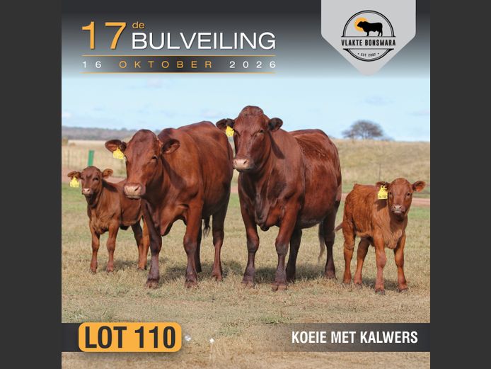 Commercial Animals | Tian Kruger Boerdery