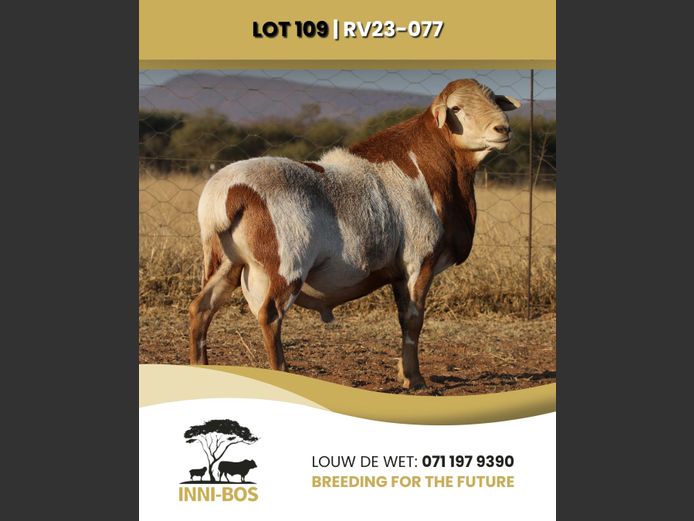 RV 23-077 | INI-BOS BOSVELDER
