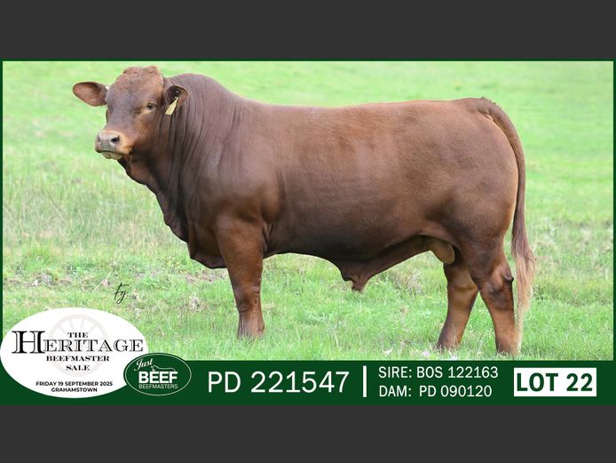 PD221547 | SUPER PRO DAIRY