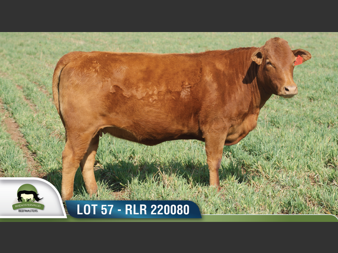 RLR 220080 | RHENOSTERVALLEI