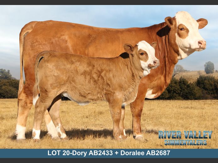 AB2433 | PA ABRAHAMSE
