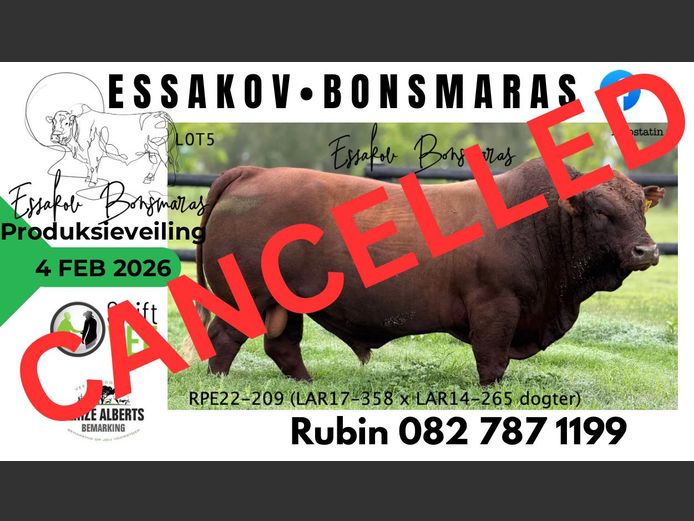 ESSAKOV BONSMARA PRODUKSIEVEILING