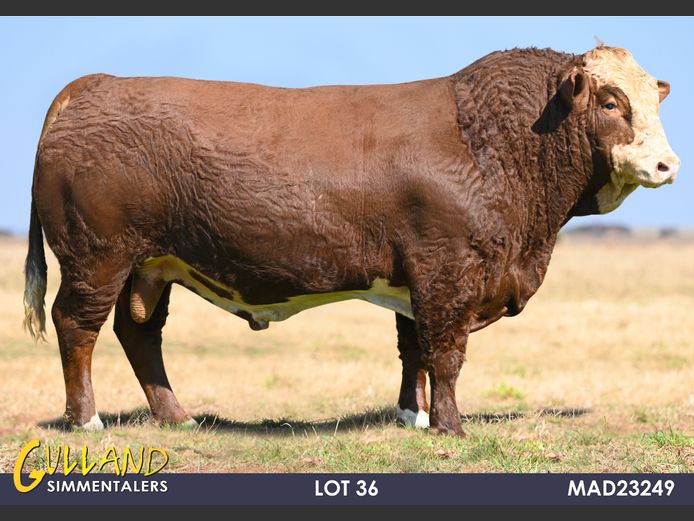 MAD23249 | MG DE JAGER