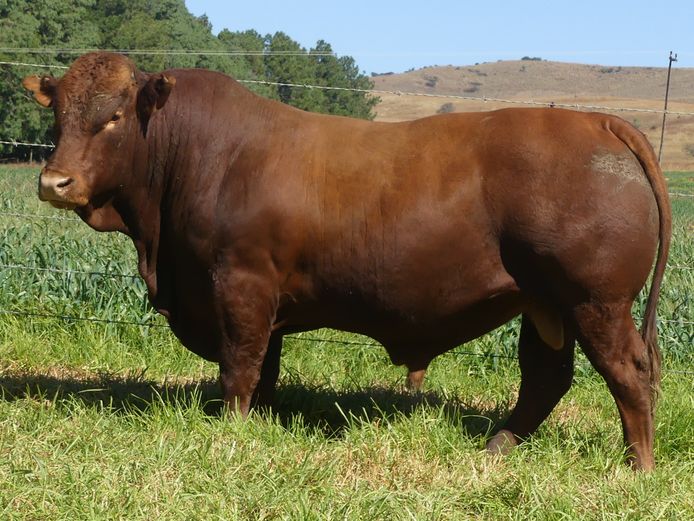 LAR 230342 | UP GEORGE FARMS CC