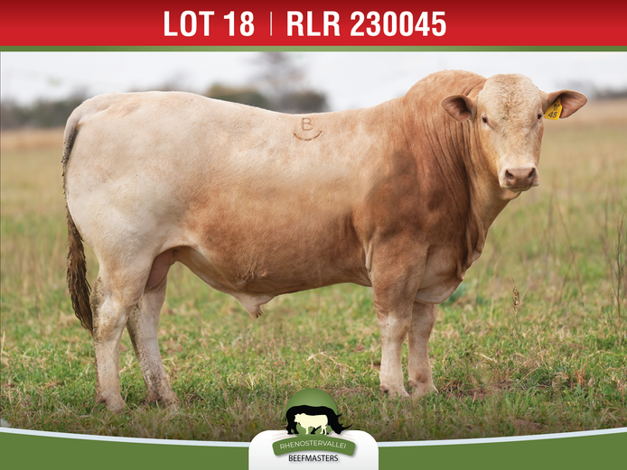 RLR 230045 | J.H. MEYER