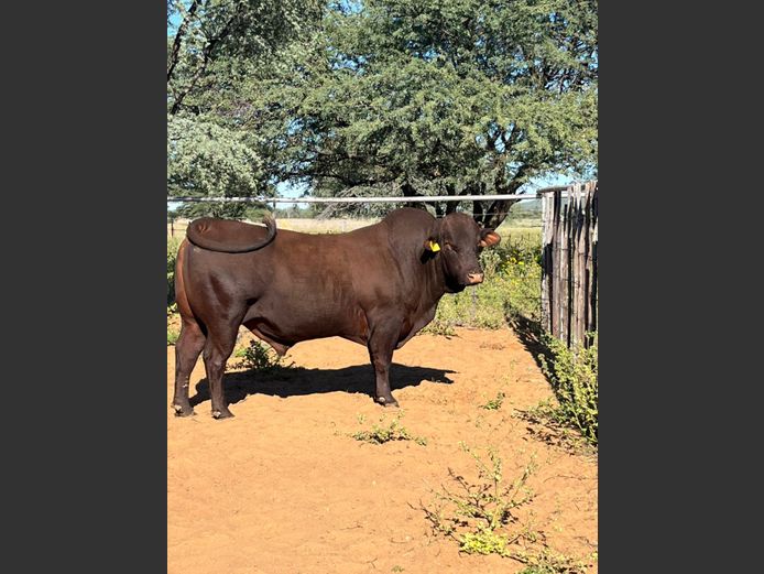 22-0023TDA | A JOOSTE